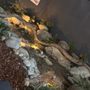 Photo of Waterfall Pond Supply