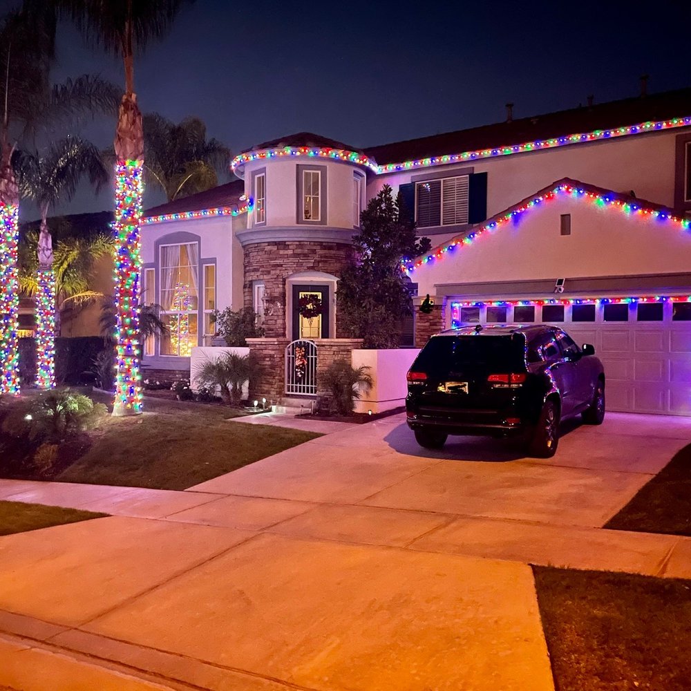 Christmas Palm Tree Corona