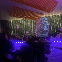 katies palace - Bar