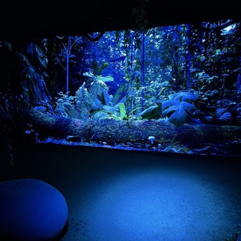Mad Arts - Art Museums Near Me - Dania Beach, Florida