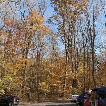 Turkey Run Park - November 2025 parking lot foliage. - Parks Near Me