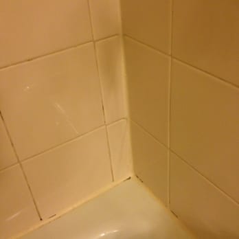 Hilton Atlanta - Very dirty! That is mold! - Hotels Near Me - Atlanta, Georgia Hilton Atlanta - Very dirty! That is mold! - Hotels Near Me - Atlanta, Georgia