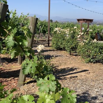 Lorimar Vineyards and Winery - So pretty! - Wineries Near Me - Temecula, California Lorimar Vineyards and Winery - So pretty! - Wineries Near Me - Temecula, California