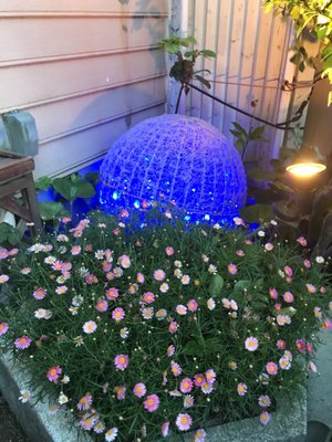 Amalfi della Sera by null