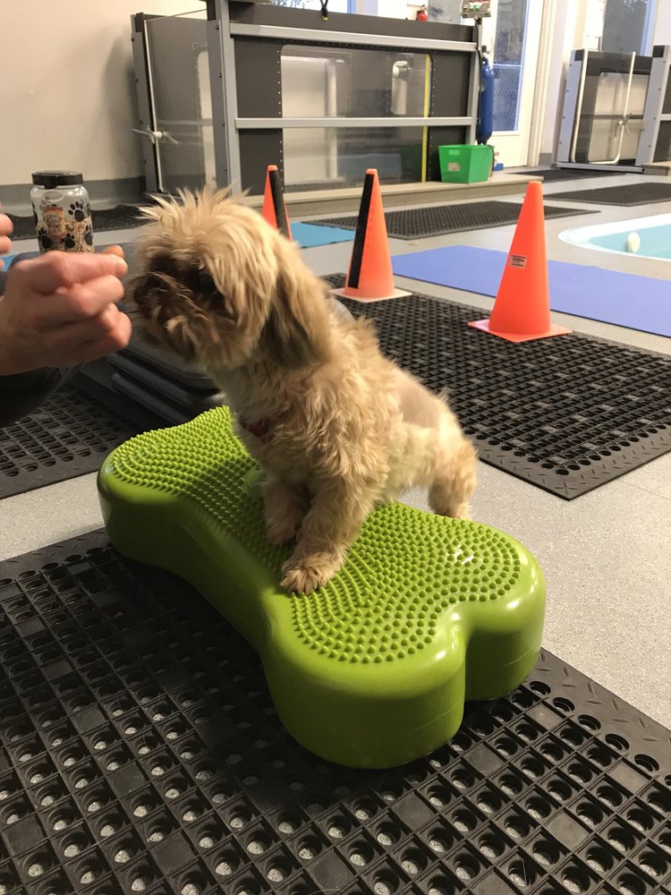 404 veterinary hospital