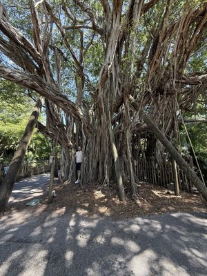 Palm Beach Zoo & Conservation Society by null