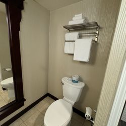 Carson Valley Inn - Toilet