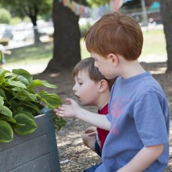 Reston Montessori School