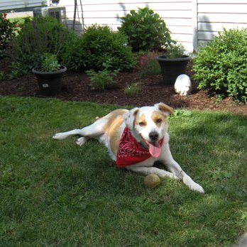A Gentle Farewell - In-Home Euthanasia - Pet Services Near Me