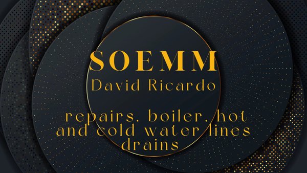 SOEMM Logo