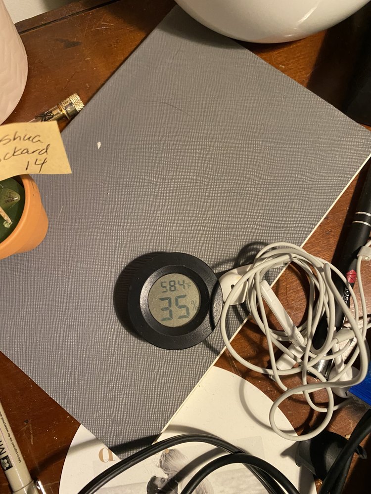 MIDAS PROPERTY MANAGEMENT Updated October 2024 3605 Sedgwick Ave