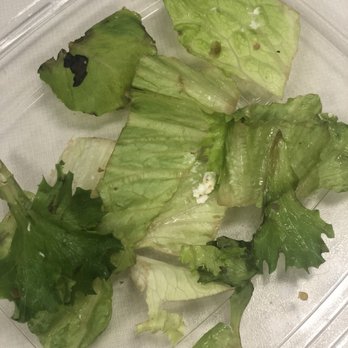 Snappy Salads - Bad lettuce. Gross! - Salad Near Me - Plano, Texas Snappy Salads - Bad lettuce. Gross! - Salad Near Me - Plano, Texas