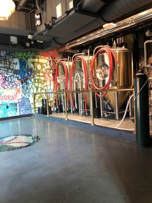 Bearded Iris - Sylvan Supply by null