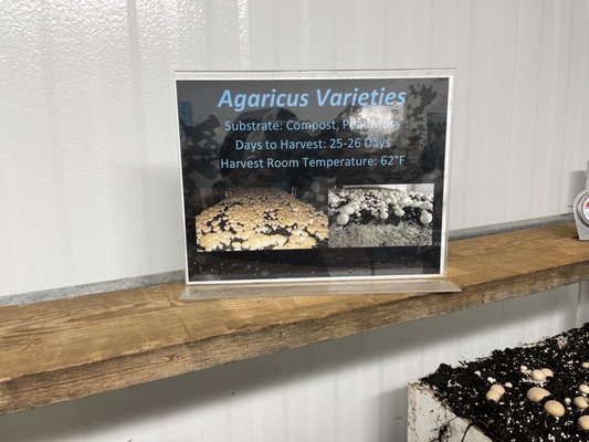 The Woodlands at Phillips Mushroom Farms by null