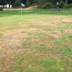 Springwater Golf Course - One of the greens. Sad