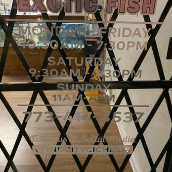 2nd City Cichlids - Local Fish Stores Near Me - Chicago, Illinois 2nd City Cichlids - Local Fish Stores Near Me - Chicago, Illinois