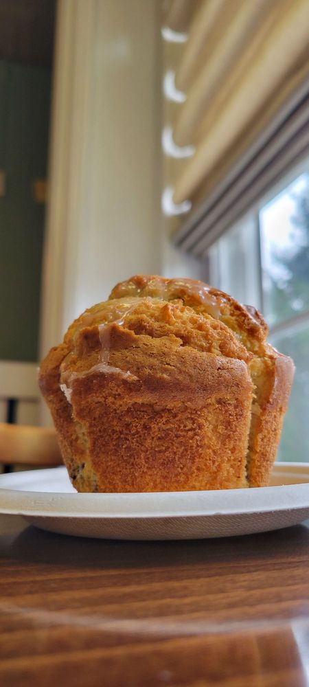 Scribblers Coffee Co Logo