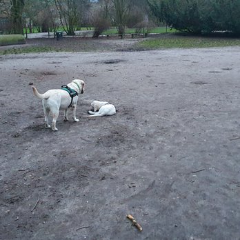 Hundewiese Walter-Möller-Park - Dog Parks Near Me - Hamburg, HH Hundewiese Walter-Möller-Park - Dog Parks Near Me - Hamburg, HH