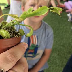 A Plus Learning Academy - They're talking about a Venus fly trap