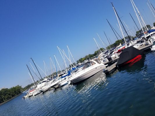 Belmont Harbor by null