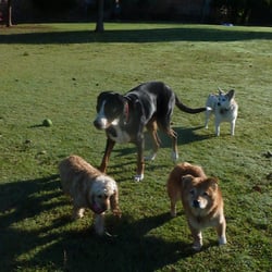 Four Paws Ranch