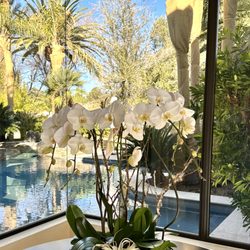 Interior Gardens