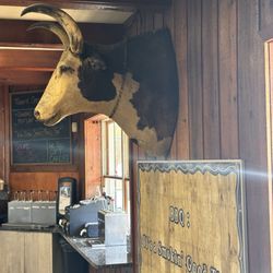Bayside Bull