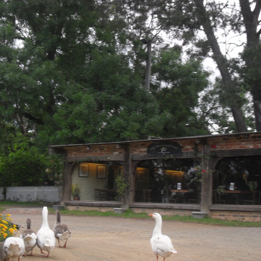 Montsalvat - Pubs Near Me - Eltham, VIC