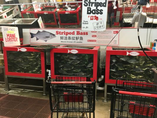 Robert Wholey & Co. Inc. by null