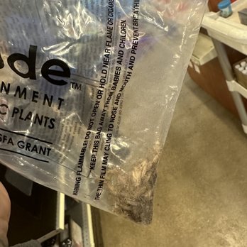 PetSmart - Supposedly 50 small crickets which I only counted 27 - Pet Stores Near Me - Skokie, Illinois