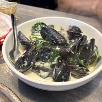 Lucky Pelican Bistro - Seafood Near Me - Sarasota, Florida Lucky Pelican Bistro - Seafood Near Me - Sarasota, Florida