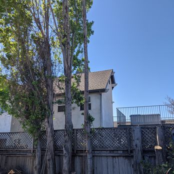 Specialty Tree Service - Tree Services Near Me