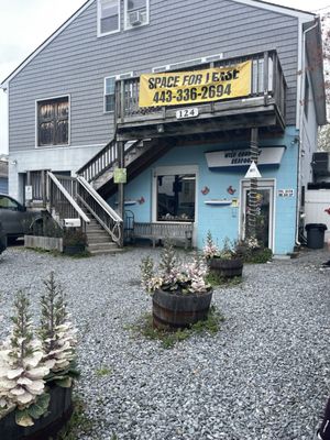 Wild Country Seafood by null