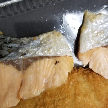 Kokoro-Tei - Bug on the salmon - Japanese Near Me - Honolulu, Hawaii