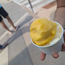 Scoop - Mango and Hazelnut Praline
