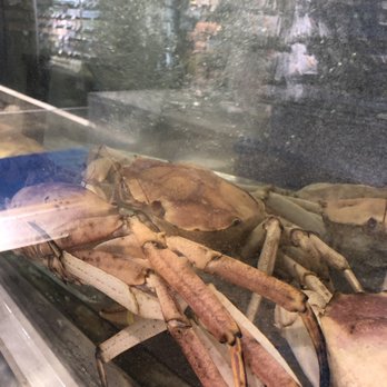 T&T Supermarket - It's rare to have Crystal Crabs being sold in Vancouver!! - International Grocery Near Me - Richmond, British Columbia T&T Supermarket - It's rare to have Crystal Crabs being sold in Vancouver!! - International Grocery Near Me - Richmond, British Columbia