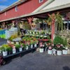 Herbein's Garden Center gift card