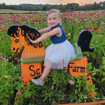 Schuster's Farm - Blooms and Butterflies - Pumpkin Patches Near Me - Deerfield, Wisconsin