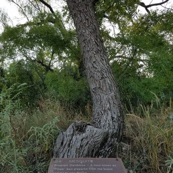 Big Spring State Park - Parks Near Me - Big Spring, Texas Big Spring State Park - Parks Near Me - Big Spring, Texas
