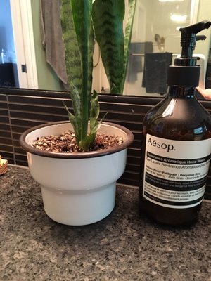 Aesop NW 23rd Avenue by null