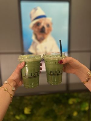 PUCCI Café by null
