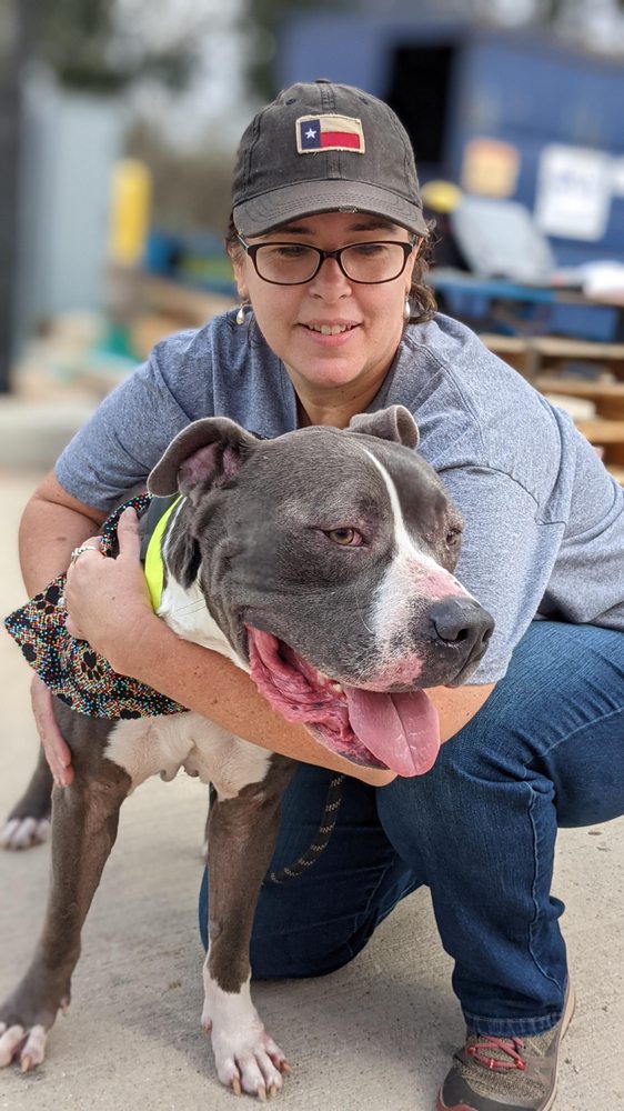 Houston Pet Set - social services organization in Houston, TX