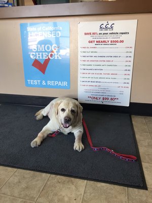 Photo of FTS Auto Repair - San Diego, CA, US. Cozmo thought it was a great deal.