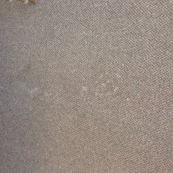 Dirty Carpet at Wendell Coffee Golf and Event Center