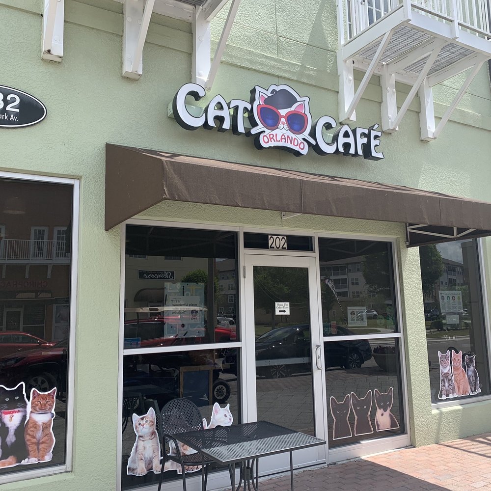 Orlando Cat Cafe - Animal Shelters Near Me - Clermont, Florida