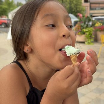 Leroy's Ice Cream - Ice Cream & Frozen Yogurt Near Me - Ketchum, Idaho Leroy's Ice Cream - Ice Cream & Frozen Yogurt Near Me - Ketchum, Idaho
