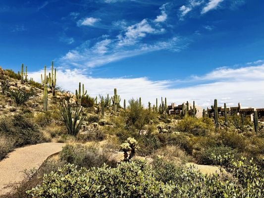 Four Seasons Resort Scottsdale by null