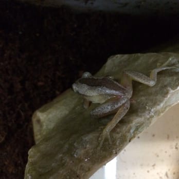 Petco - Reptiles - Pet Stores Near Me - Redwood City, California Petco - Reptiles - Pet Stores Near Me - Redwood City, California
