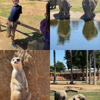 Fresno Chaffee Zoo - Zoos Near Me - Fresno, California Fresno Chaffee Zoo - Zoos Near Me - Fresno, California