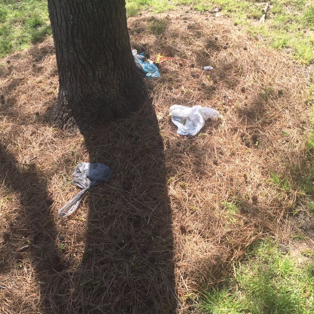 Treasured Property - Dog crap ok they take the time to pick it up but just throw it where ever. Wasn't anyway to police it he says. - Property Management Near Me - Durham, North Carolina